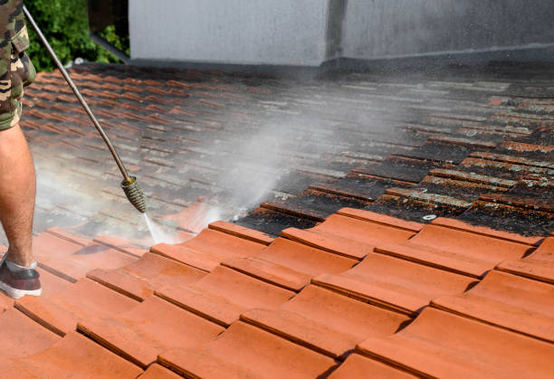 Best Deck Pressure Washing  in Blandon, PA