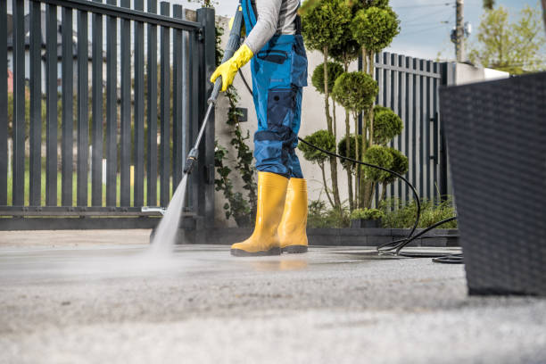 Best Pressure Washing Siding  in Blandon, PA